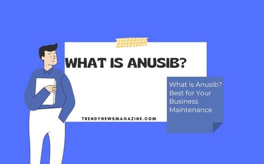What is Anusib? Best for Your Business Maintenance