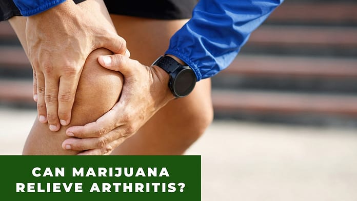 Can Marijuana Relieve Arthritis